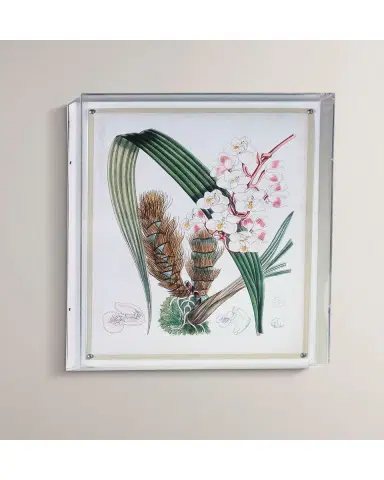 Port 68 Tropicals VIII Giclee | Thumbnail 3 Port 68 Tropicals VIII Giclee | Thumbnail 3