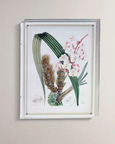Port 68 Tropicals VIII Giclee | Thumbnail 5 Port 68 Tropicals VIII Giclee | Thumbnail 5
