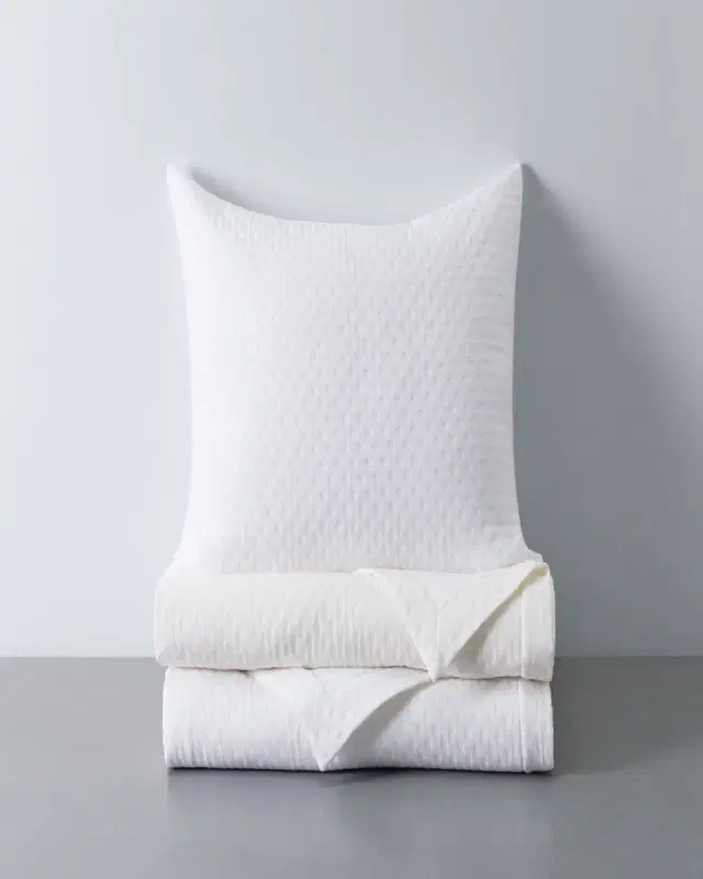 Home Treasures Nimbus Coverlet