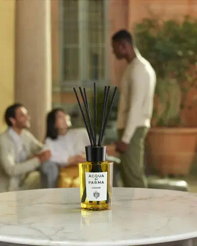 Acqua di Parma 6 oz. Insieme Room Diffuser | Thumbnail 2