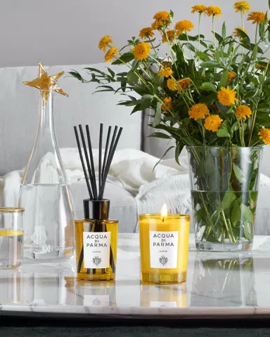 Acqua di Parma 6 oz. Insieme Room Diffuser | Thumbnail 3