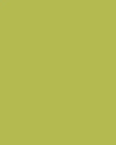 Anna Weatherley Anna's Palette Summer Green Dinner Plate | Thumbnail 4