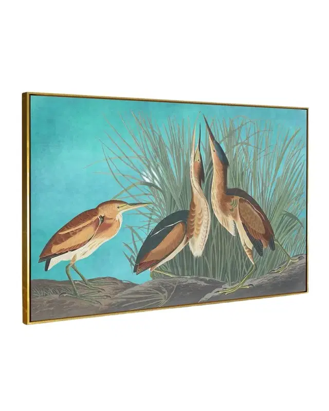 RFA Fine Art "Least Bittern" Wall Art