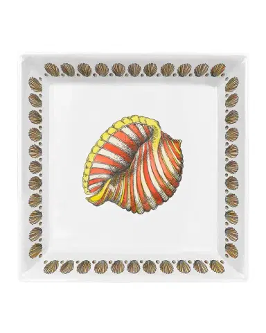 Fornasetti Square Plate 20 x 20cm - Giro Di Conchiglie Color Gold Black White | Thumbnail 1