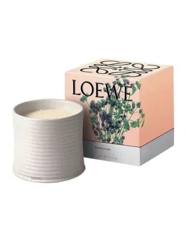Loewe 74.8 oz. Large Oregano Candle | Thumbnail 1 Loewe 74.8 oz. Large Oregano Candle | Thumbnail 1