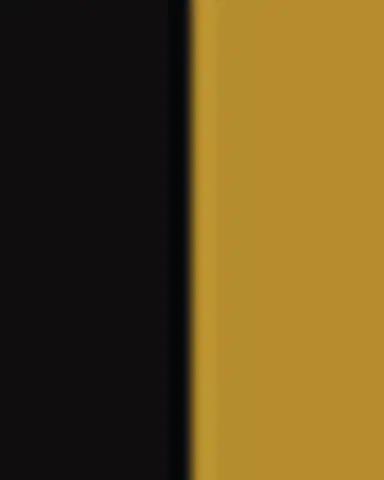 Fornasetti Square Frame With Convex Mirror - Giardino Settecentesco Black Yellow | Thumbnail 3