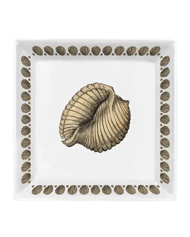Fornasetti Square Plate 20 x 20cm - Giro Di Conchiglie Gold Black White
