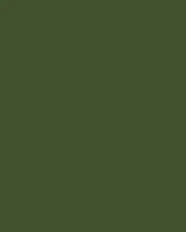 Jay Strongwater Nightbloom Double Candlestick | Thumbnail 3