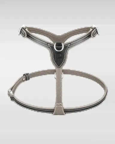 Pagerie Petite Leather Dog Harness | Thumbnail 2