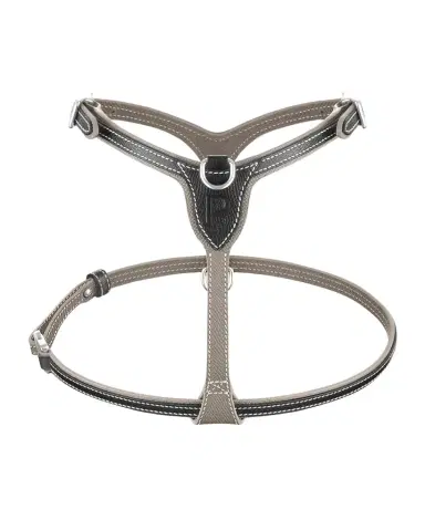 Pagerie Petite Leather Dog Harness | Thumbnail 1