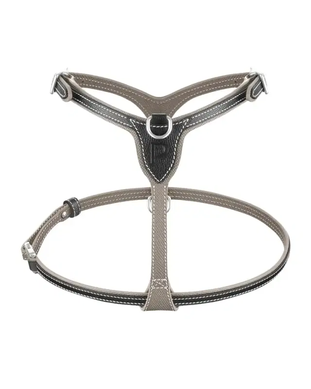 PAGERIE Petite Leather Dog Harness