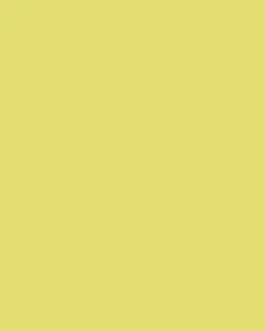 Christian Lacroix Lemon Pebbles Cushion | Thumbnail 3