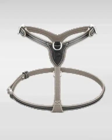 Pagerie Petite Leather Dog Harness | Thumbnail 2