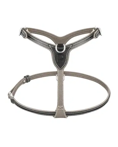 Pagerie Petite Leather Dog Harness | Thumbnail 1