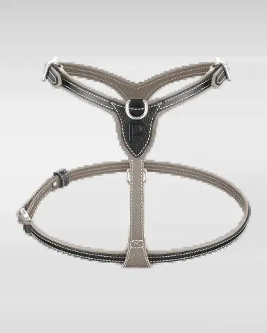 Pagerie Petite Leather Dog Harness | Thumbnail 2