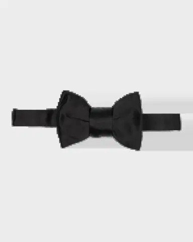 Charvet Men's Satin Pre-Tied Bow Tie | Thumbnail 2