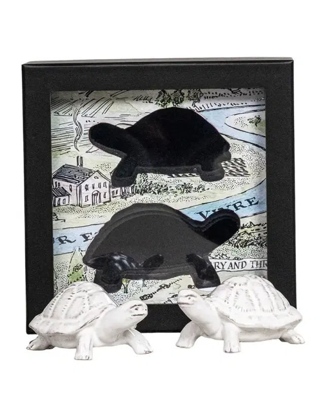 Leonardo and Donatello Turtle Salt & Pepper Shakers