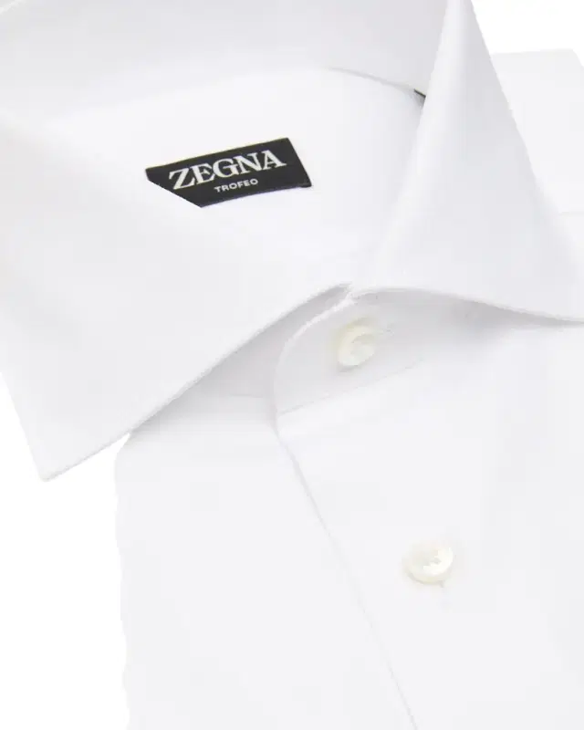 Men 's Micro-Textured Cotton Dress Shirt