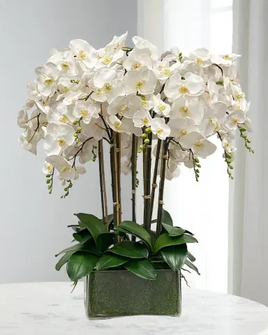 Winward Home Orchid in Glass Planter | Thumbnail 1