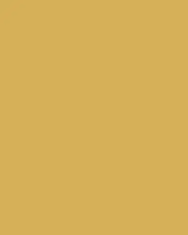 AERIN Delmara Golden Cachepot | Thumbnail 4
