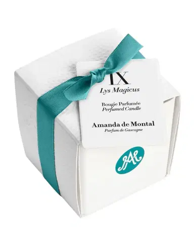 Amanda de Montal Lys Magicus Scented Candle, 80g | Thumbnail 1 Amanda de Montal Lys Magicus Scented Candle, 80g | Thumbnail 1