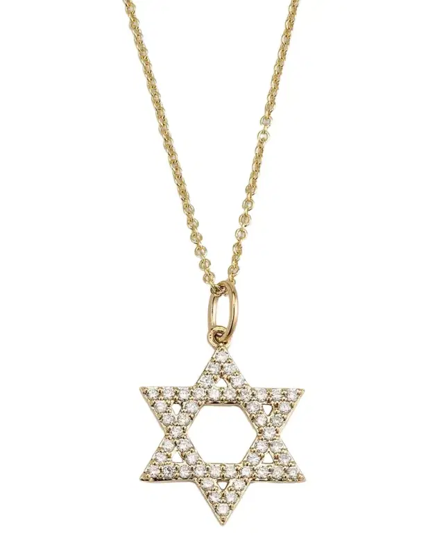 14K Star of David Charm on Light Chain Necklace