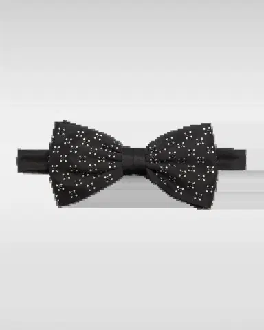 Stefano Ricci Men's Crystal-Embellished Silk Bow Tie | Thumbnail 2