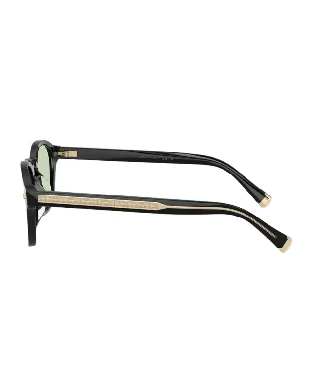 Men 's Acetate Square Sunglasses