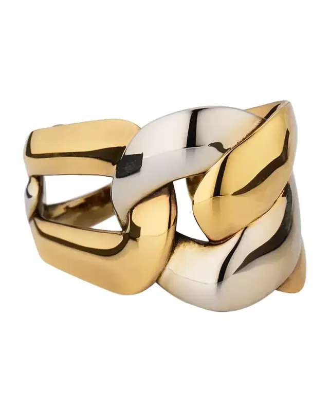 Double Chain Ring