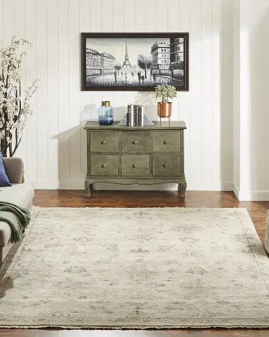 Haven & Loom Aylana Hand-Knotted Rug | Thumbnail 5