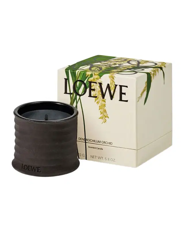 Dendrochilum Magnum Orchid Scented Candle, 5.8 oz.
