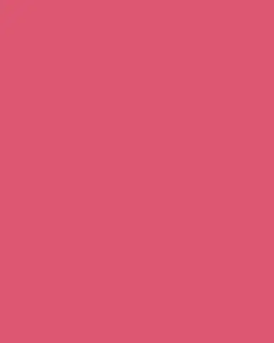 Dries Van Noten Rosa Carnivora Pochette Pouch | Thumbnail 2 Dries Van Noten Rosa Carnivora Pochette Pouch | Thumbnail 2