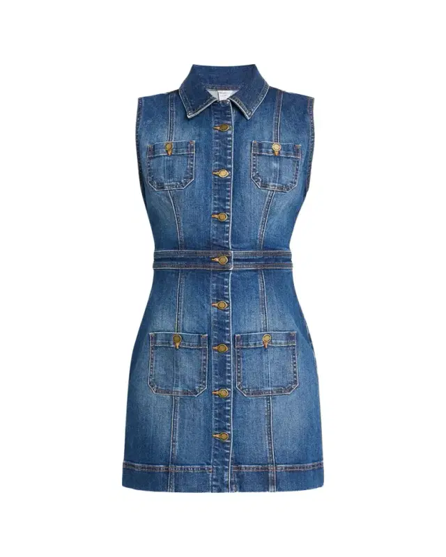 Ramy Brook Katalina Sleeveless Denim Mini Dress
