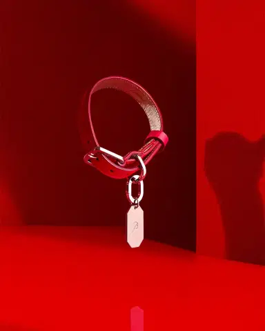 Baccarat Louxor Pet Collar, Large | Thumbnail 3 Baccarat Louxor Pet Collar, Large | Thumbnail 3