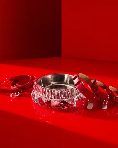 Baccarat Louxor Pet Collar, Large | Thumbnail 4 Baccarat Louxor Pet Collar, Large | Thumbnail 4