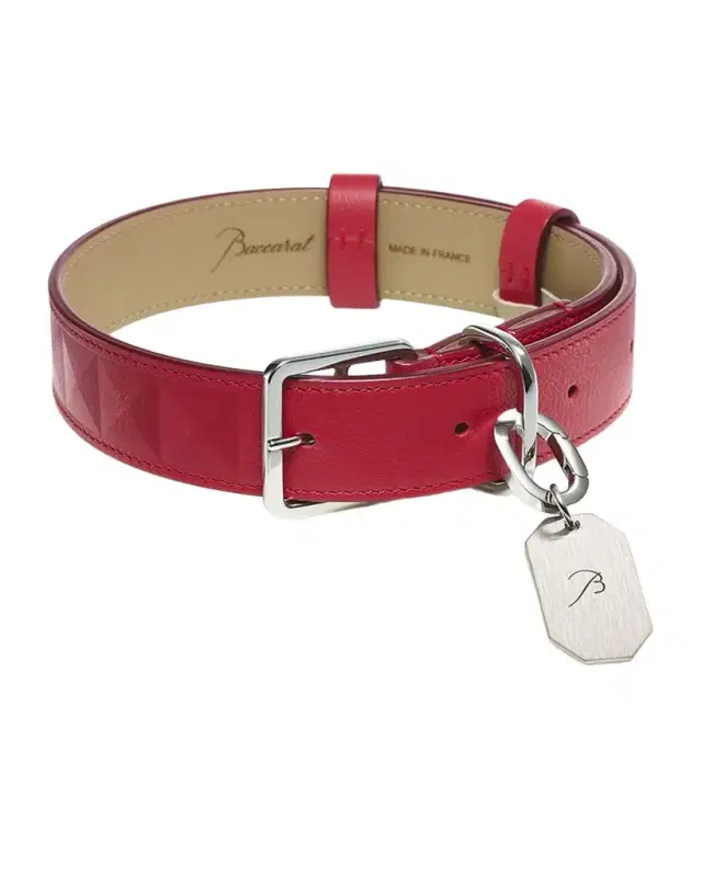 Baccarat Louxor Pet Collar, Large
