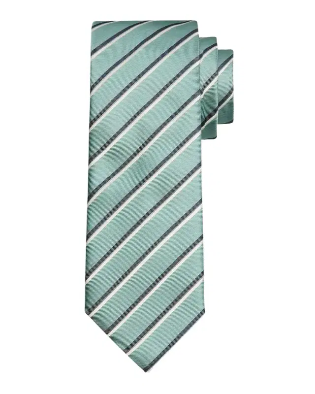 Men 's Diagonal Striped Tie