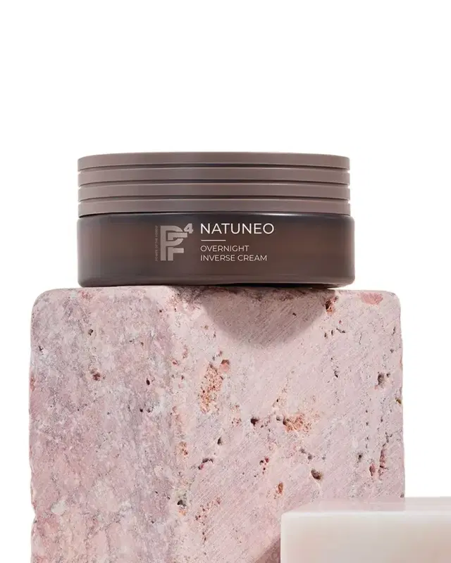 ANNEMARIE BORLIND Natuneo Overnight Inverse Cream, 1.69 oz.