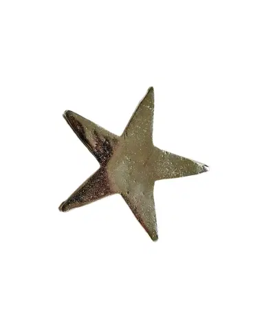 Jan Barboglio Estrella Star Paperweight | Thumbnail 1 Jan Barboglio Estrella Star Paperweight | Thumbnail 1