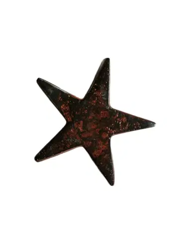 Jan Barboglio Estrella Star Decorative Object | Thumbnail 1