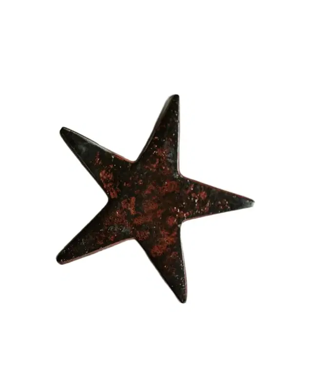 Jan Barboglio Estrella Star Decorative Object