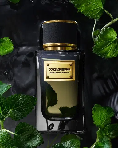 Dolce & Gabbana Beauty Velvet Black Patchouli Eau de Parfum, 3.3 oz. | Thumbnail 2
