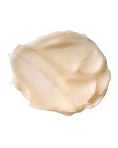Borghese ENERGIA Vitamin E Antioxidant Creme, 1 oz. | Thumbnail 1 Borghese ENERGIA Vitamin E Antioxidant Creme, 1 oz. | Thumbnail 1