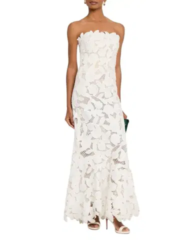 Simkhai Valletta Strapless Floral Lace Maxi Dress | Thumbnail 1 Simkhai Valletta Strapless Floral Lace Maxi Dress | Thumbnail 1