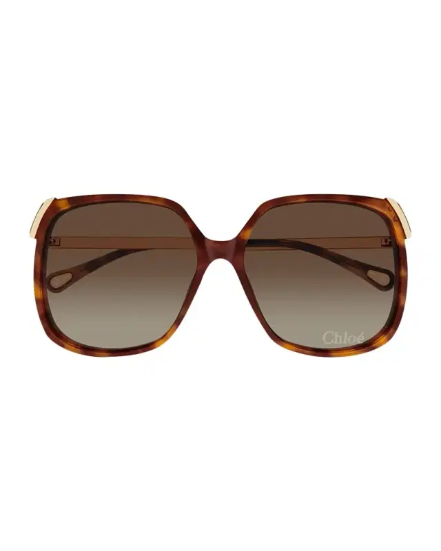 Square Acetate Sunglasses