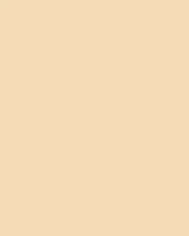 DEMARSON Odell Two-Tone Ear Cuff | Thumbnail 4