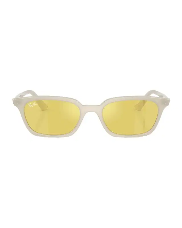 Ray-Ban RB4456 Plastic Pillow Sunglasses