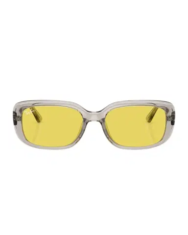 Ray-Ban RB4421D Plastic Pillow Sunglasses | Thumbnail 1