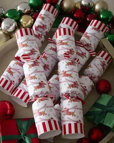 Robin Reed Racing Sausage Dog Christmas Crackers, Set of 6 | Thumbnail 1