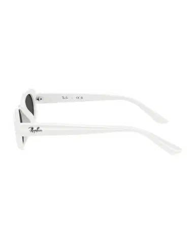 Ray-Ban RB4441D Rectangle Plastic Sunglasses | Thumbnail 1 Ray-Ban RB4441D Rectangle Plastic Sunglasses | Thumbnail 1